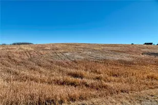 2490 Browning Dr, Castle Rock, CO 80109 - Photo 11