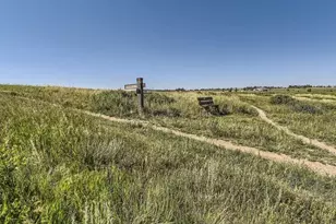 12571 Spotted Hawk St, Parker, CO 80134 - Photo 15