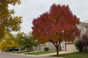 6827 W Rockland Pl, Littleton, CO 80128 - Photo 23