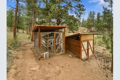 23803 Logan Avenue, Pine, CO 80470 - Photo 23