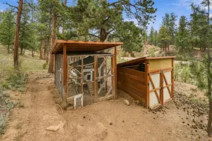 23803 Logan Ave, Pine, CO 80470 - Photo 23