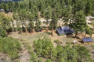 23803 Logan Ave, Pine, CO 80470 - Photo 7