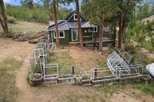 23803 Logan Ave, Pine, CO 80470 - Photo 29