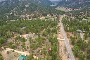 23803 Logan Ave, Pine, CO 80470 - Photo 27
