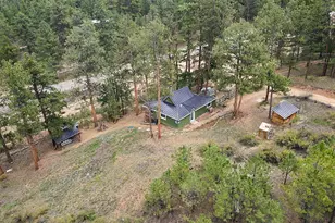 23803 Logan Ave, Pine, CO 80470 - Photo 31