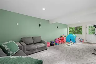 809 Roland Dr, Bailey, CO 80421 - Photo 21