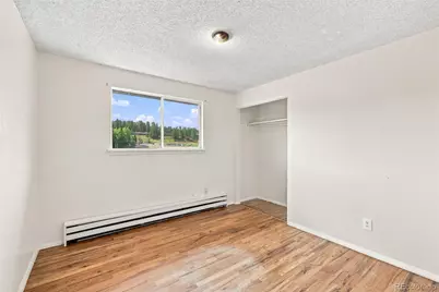 29183 Valley View Road, Evergreen, CO 80439 - Photo 15