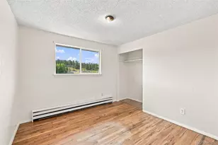 29183 Valley View Rd, Evergreen, CO 80439 - Photo 15