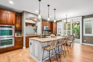 4395 Cedarpoint Pl, Highlands Ranch, CO 80130 - Photo 7