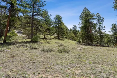 Tbd Lot 42 Governors Lane, Estes Park, CO 80517 - Photo 9