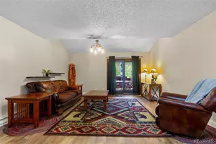 123 Burgundy Cir, Silverthorne, CO 80498 - Photo 3