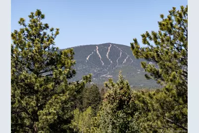 8731 Grizzly Way, Evergreen, CO 80439 - Photo 11