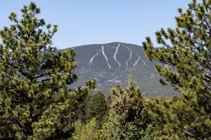 8731 Grizzly Way, Evergreen, CO 80439 - Photo 11