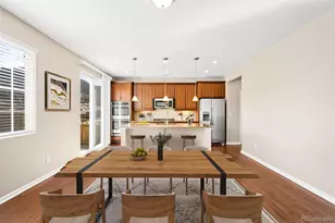 1156 Raindrop Way, Castle Rock, CO 80109 - Photo 3