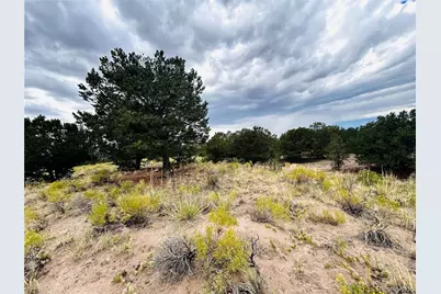 1411 W Badger Road, Crestone, CO 81131 - Photo 11