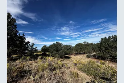 1411 W Badger Road, Crestone, CO 81131 - Photo 3