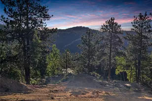 4501 Co Rd 72, Bailey, CO 80421 - Photo 1