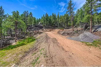 4501 County Road 72, Bailey, CO 80421 - Photo 5