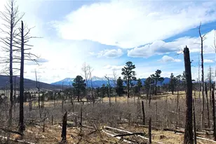 Lot 1209 Emery Loop, Fort Garland, CO 81133 - Photo 1