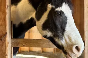 12540 W 86th Ave, Arvada, CO 80005 - Photo 39