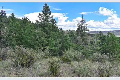 281 Deer Lane, Guffey, CO 80820 - Photo 23
