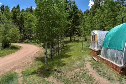 281 Deer Lane, Guffey, CO 80820 - Photo 9