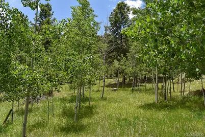 281 Deer Lane, Guffey, CO 80820 - Photo 1