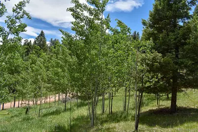 281 Deer Lane, Guffey, CO 80820 - Photo 13