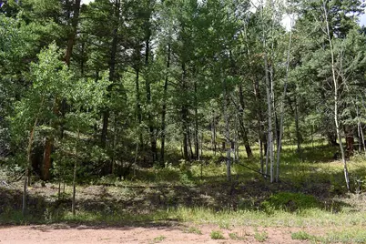 281 Deer Lane, Guffey, CO 80820 - Photo 39