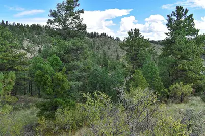 281 Deer Lane, Guffey, CO 80820 - Photo 21