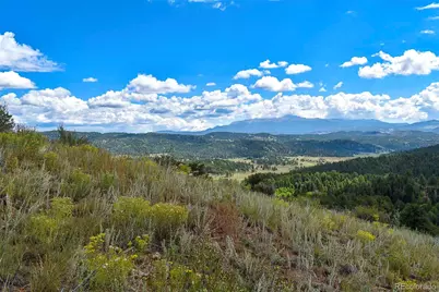 281 Deer Lane, Guffey, CO 80820 - Photo 19