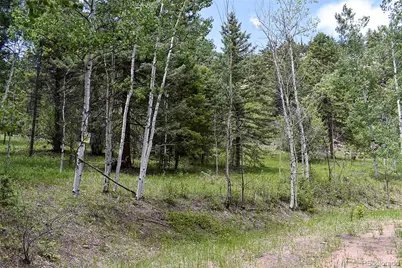281 Deer Lane, Guffey, CO 80820 - Photo 17