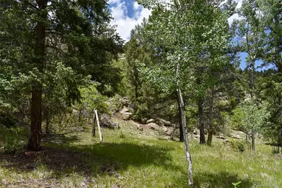281 Deer Lane, Guffey, CO 80820 - Photo 15