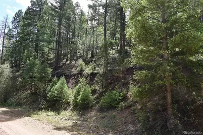 281 Deer Lane, Guffey, CO 80820 - Photo 37
