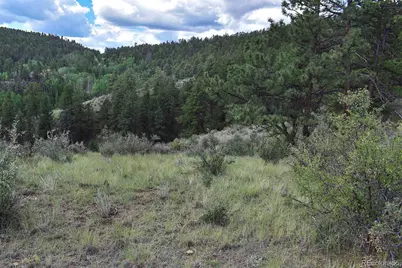 281 Deer Lane, Guffey, CO 80820 - Photo 27