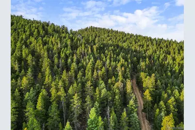 26273 Richmond Hill Road, Conifer, CO 80443 - Photo 29