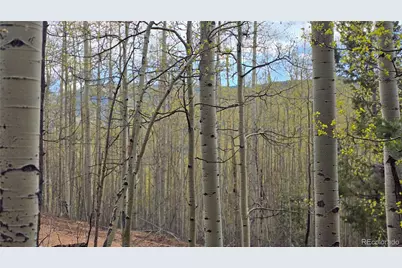 Lot 5902 Slegers Road, Fort Garland, CO 81133 - Photo 17