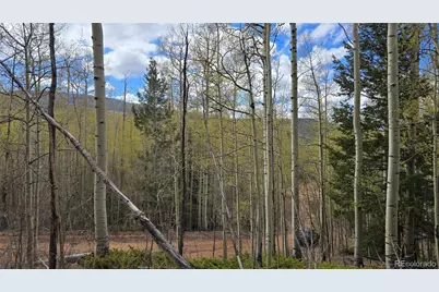 Lot 5902 Slegers Road, Fort Garland, CO 81133 - Photo 19
