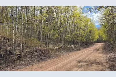 Lot 5902 Slegers Road, Fort Garland, CO 81133 - Photo 13