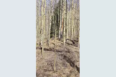 Lot 5902 Slegers Road, Fort Garland, CO 81133 - Photo 7