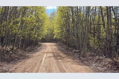 Lot 5902 Slegers Road, Fort Garland, CO 81133 - Photo 1