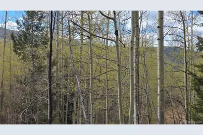 Lot 5902 Slegers Road, Fort Garland, CO 81133 - Photo 3