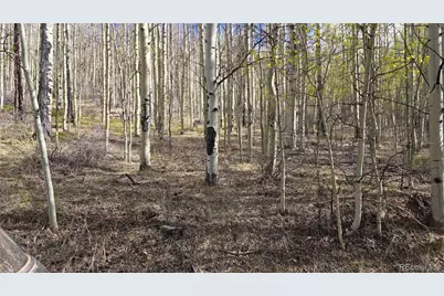 Lot 5902 Slegers Road, Fort Garland, CO 81133 - Photo 5