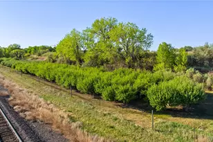 65295 US Hwy 50, Fowler, CO 81039 - Photo 47