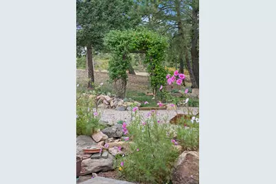 14229 Elk Mountain Trail, Littleton, CO 80127 - Photo 19