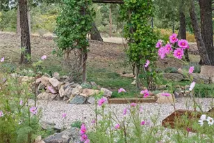 14229 Elk Mountain Trail, Littleton, CO 80127 - Photo 19