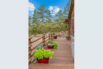 14229 Elk Mountain Trail, Littleton, CO 80127 - Photo 21