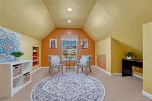 11926 S Black Horn Cir, Parker, CO 80134 - Photo 35