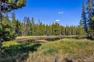 3385 Co Rd 1, Fairplay, CO 80440 - Photo 3