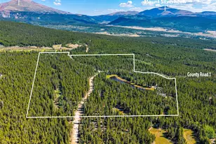 3385 Co Rd 1, Fairplay, CO 80440 - Photo 7